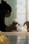 The Masterful Cat Is Depressed Again Today Season 1 Episode 5 The Masterful Cat Is Depressed Again Today Season 1 Episode 5
