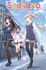 Saenai Heroine no Sodatekata (Saekano: How to Raise a Boring Girlfriend) (2015) Saenai Heroine no Sodatekata (Saekano: How to Raise a Boring Girlfriend) (2015)