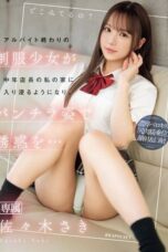 IPZZ 433